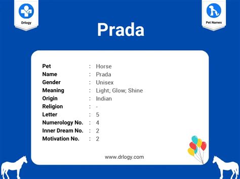 what does prada mean|prada meaning slang.